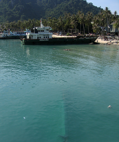 Tsunami Thailand Phi Phi Island 2004